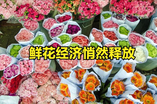 “鲜花经济”悄然释放催生消费新动态迎来投资新机遇(图1)