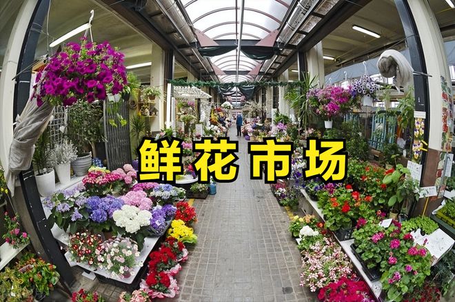 “鲜花经济”悄然释放催生消费新动态迎来投资新机遇(图11)