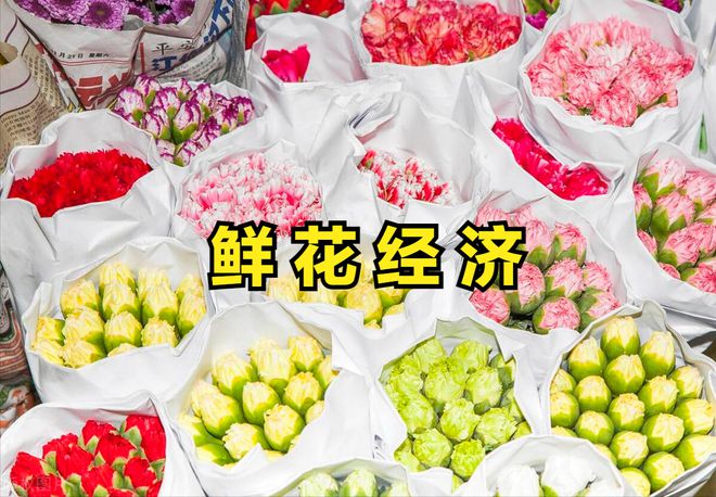 “鲜花经济”悄然释放催生消费新动态迎来投资新机遇(图14)