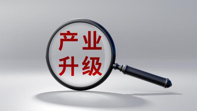 “鲜花经济”悄然释放催生消费新动态迎来投资新机遇(图15)