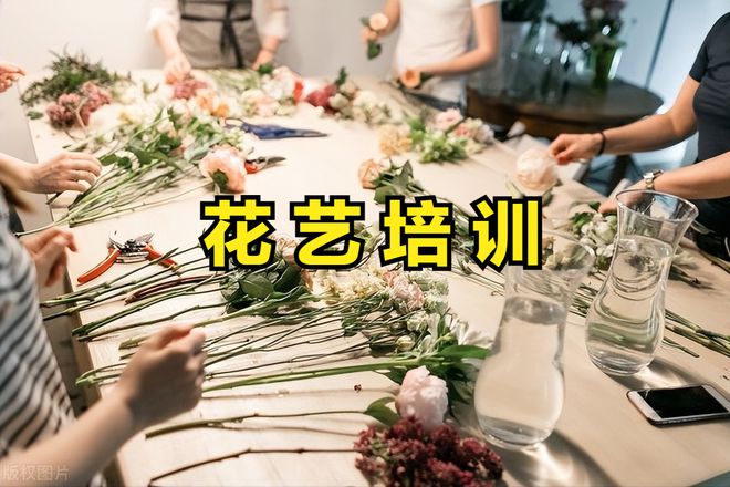 “鲜花经济”悄然释放催生消费新动态迎来投资新机遇(图17)