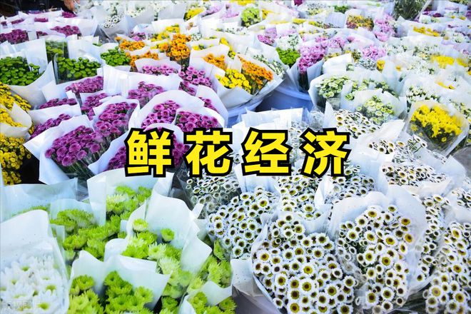 “鲜花经济”悄然释放催生消费新动态迎来投资新机遇(图22)