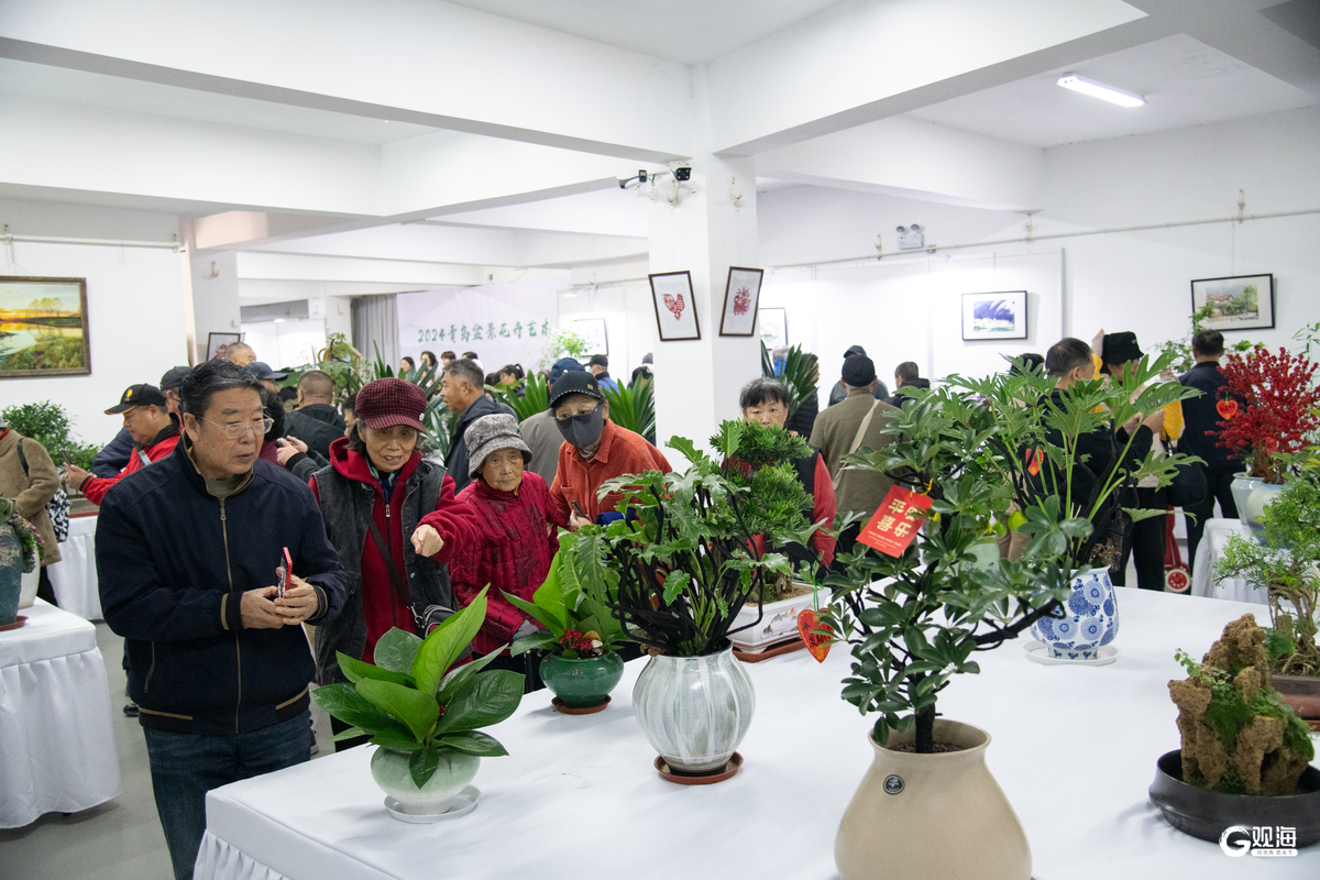 助力园林花卉产业高质量发展！2024青岛盆景花卉艺术展开展(图2)