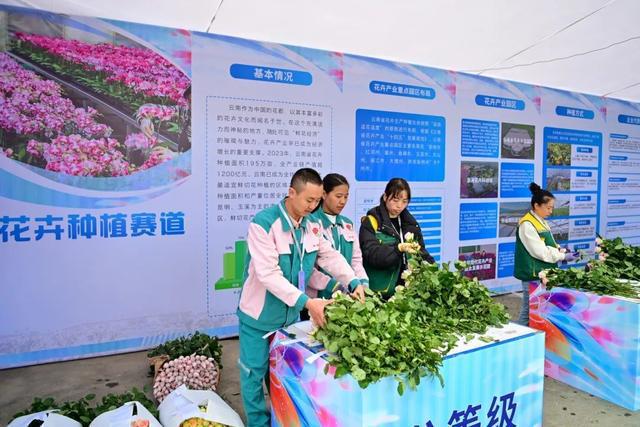 云南省花卉产业劳动竞赛启动(图2)