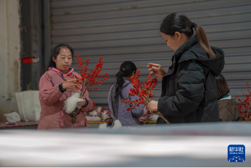 “花都”昆明年宵花产销一线扫描_新华网(图2)