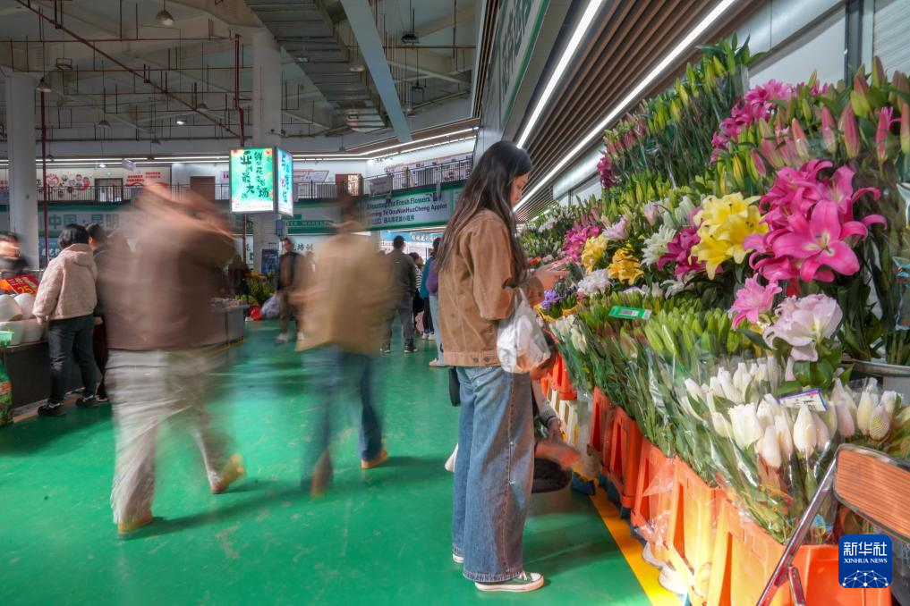 “花都”昆明年宵花产销一线扫描_新华网(图1)
