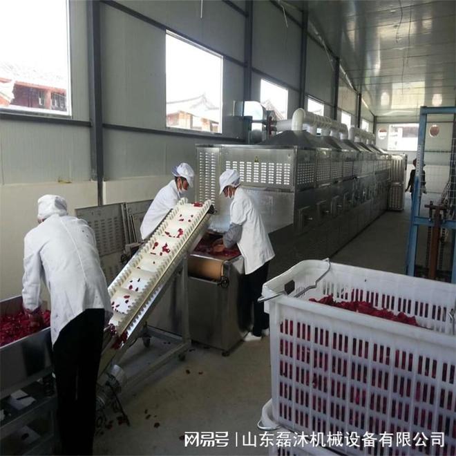 微波烘干隧道炉为鲜花加工行业开辟了新的发展路径(图2)
