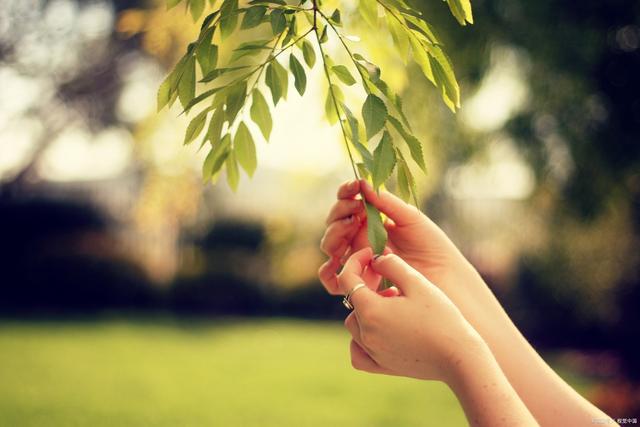 散文随笔：生活该有阳光有鲜花还有温柔敦厚的我们(图3)