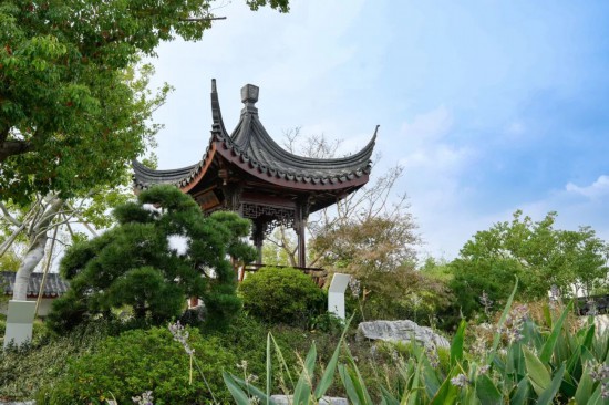 錯過等一年！快來打卡這些公園裡的“網紅”點(图1)