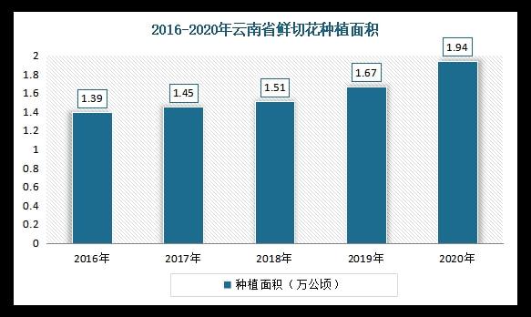 中国鲜切花行业竞争现状分析与投资战略研究报告（2022-2029年）(图5)