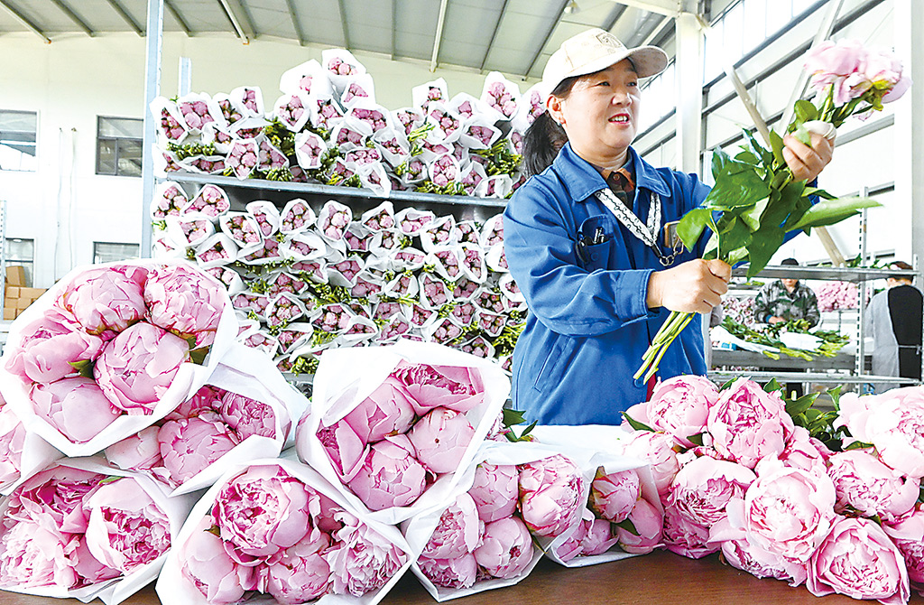 “花卉经济”点亮美好生活(图1)