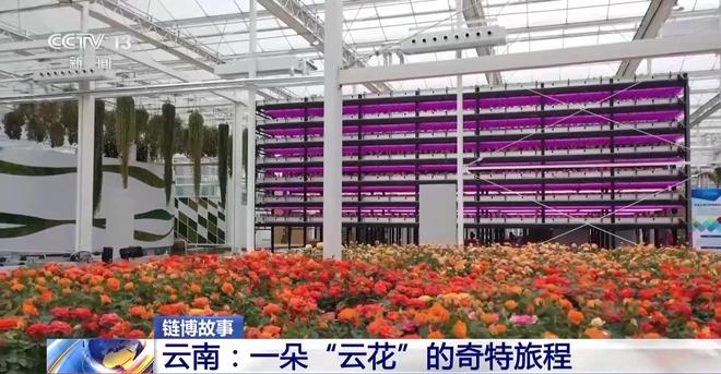 从花田到花瓶这里的鲜花还要坐一趟“过山车”→(图6)