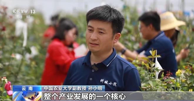 从花田到花瓶这里的鲜花还要坐一趟“过山车”→(图4)