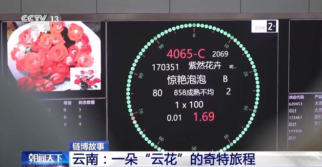 从花田到花瓶这里的鲜花还要坐一趟“过山车”→(图10)