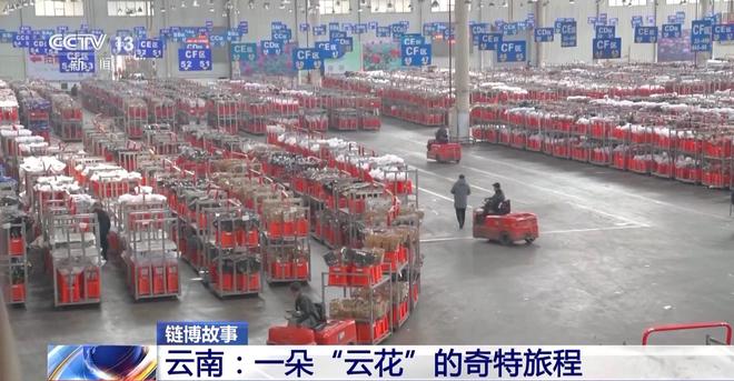 从花田到花瓶这里的鲜花还要坐一趟“过山车”→(图9)