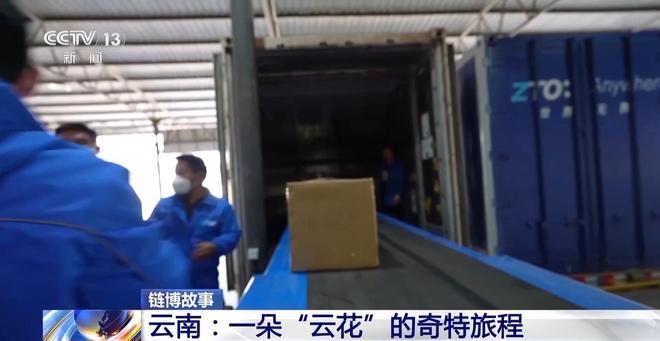 从花田到花瓶这里的鲜花还要坐一趟“过山车”→(图11)