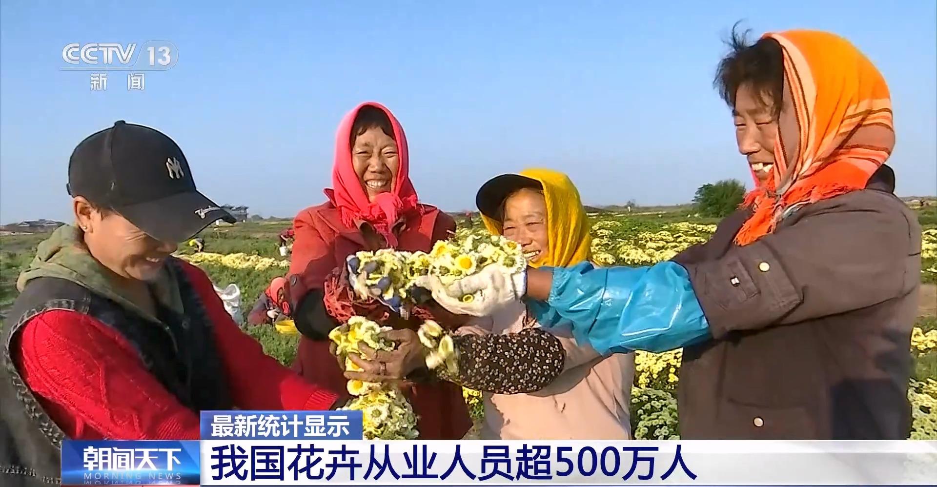 全年销售额将破2000亿我国卖出的花可绕地球多少圈？(图3)