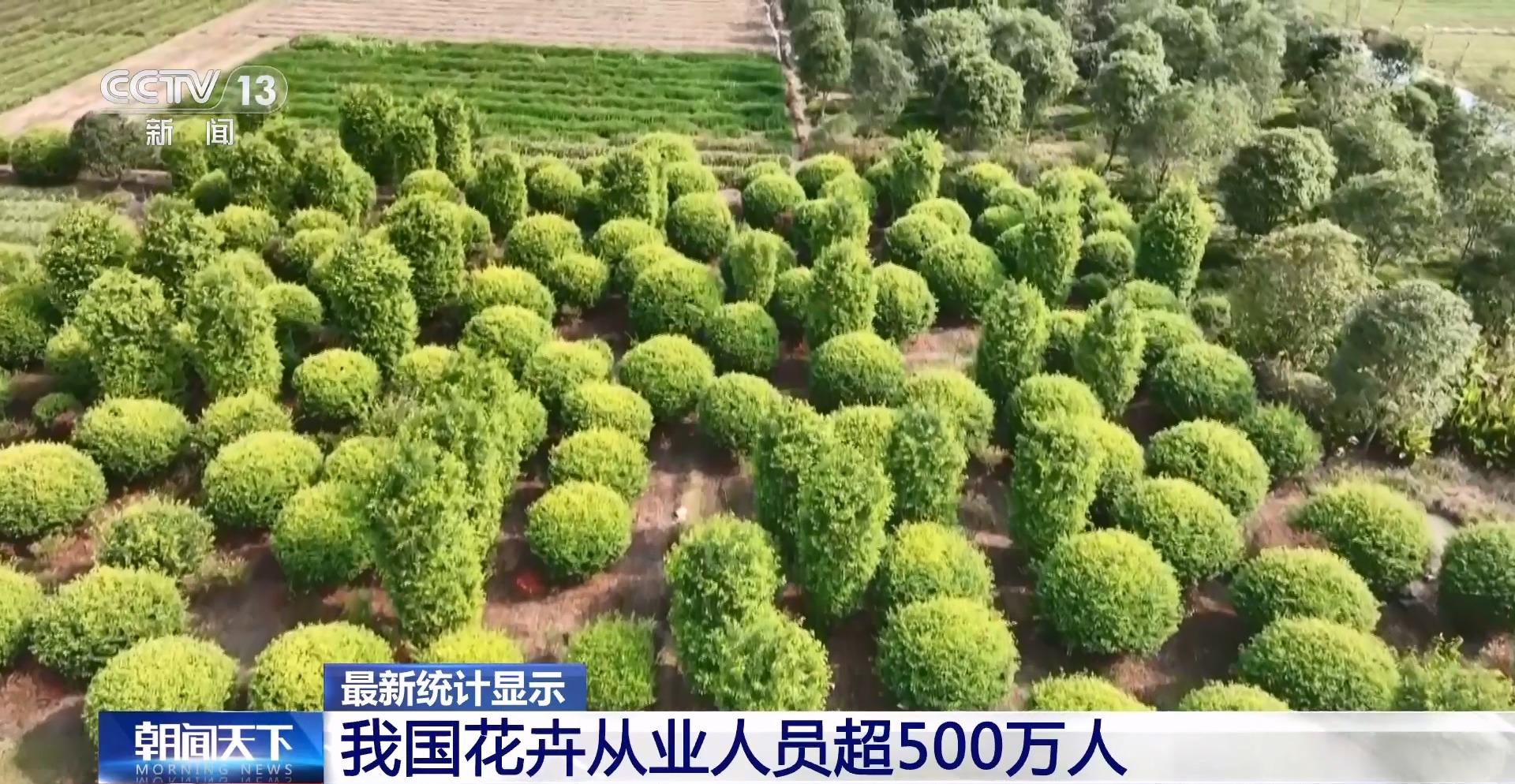 全年销售额将破2000亿我国卖出的花可绕地球多少圈？(图4)