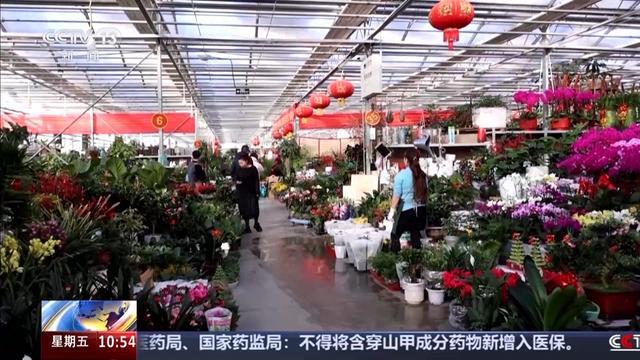 “美丽经济”升温冬日鲜花销售走俏(图1)
