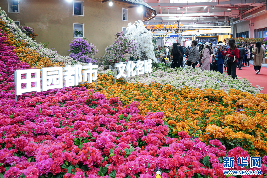 组图｜2024年海峡两岸农博会·花博会开幕-新华网(图10)