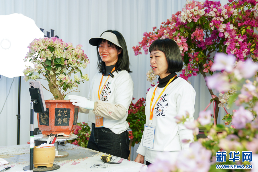 组图｜2024年海峡两岸农博会·花博会开幕-新华网(图13)