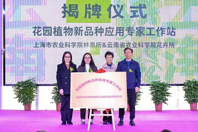 以花为媒“香”约松江！云间卉谷2025年宵花盛会开幕(图2)