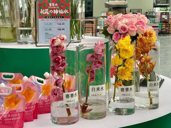 以花为媒“香”约松江！云间卉谷2025年宵花盛会开幕(图6)