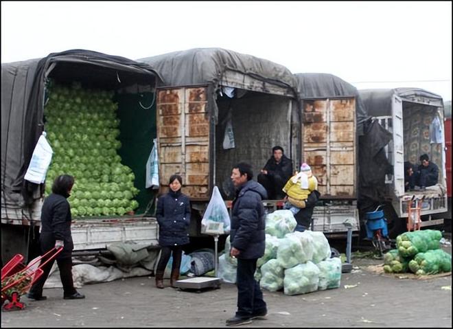 山东蔬菜运往西伯利亚：-40℃度用6层草帘子4000公里走100小时(图6)
