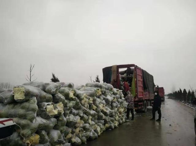 山东蔬菜运往西伯利亚：-40℃度用6层草帘子4000公里走100小时(图9)