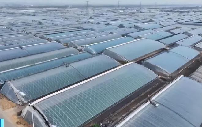 山东蔬菜运往西伯利亚：-40℃度用6层草帘子4000公里走100小时(图17)