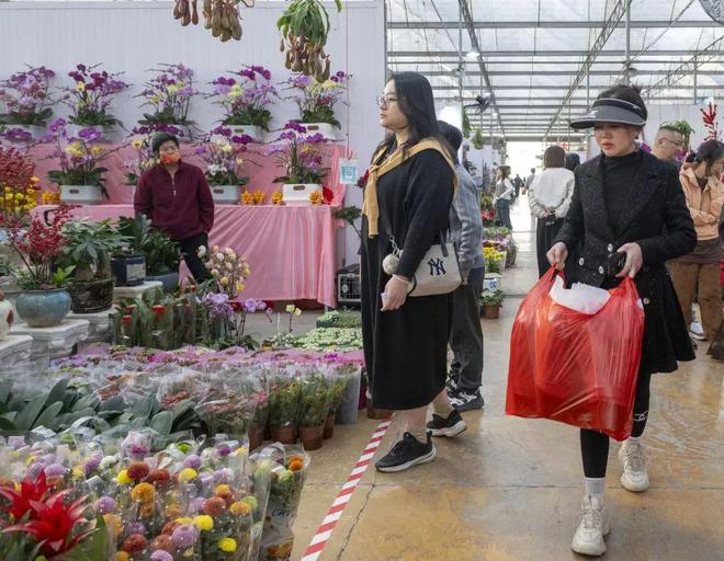 行业观察广州花卉市场年味渐浓：线上销售占比增大文旅结合趋势明显(图1)