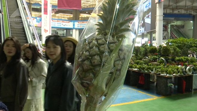 又被惊艳到！这“花”好看还能吃？(图1)