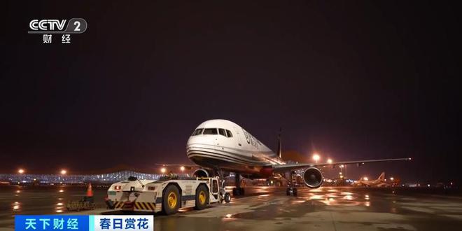 云南鲜花实现韩国次日达！春日鲜切花陆续“上新”内销出口两旺(图6)