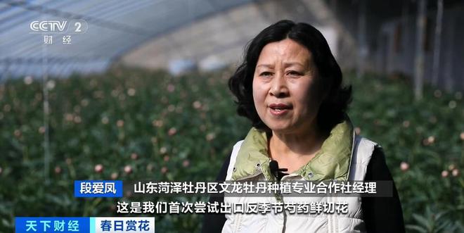 云南鲜花实现韩国次日达！春日鲜切花陆续“上新”内销出口两旺(图5)