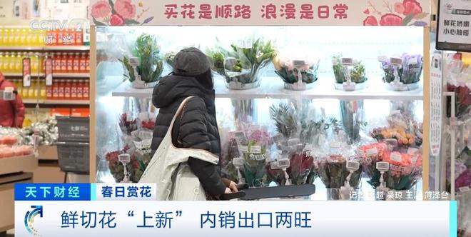 云南鲜花实现韩国次日达！春日鲜切花陆续“上新”内销出口两旺(图1)