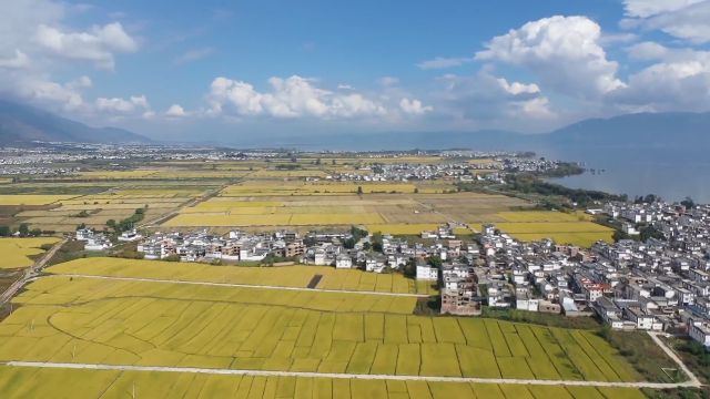 总产值755亿元！2024年大理这项工作稳定向好→(图3)