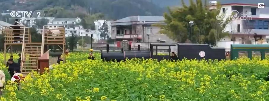 “赏花+”产业激活乡村活力成为新经济增长点(图2)