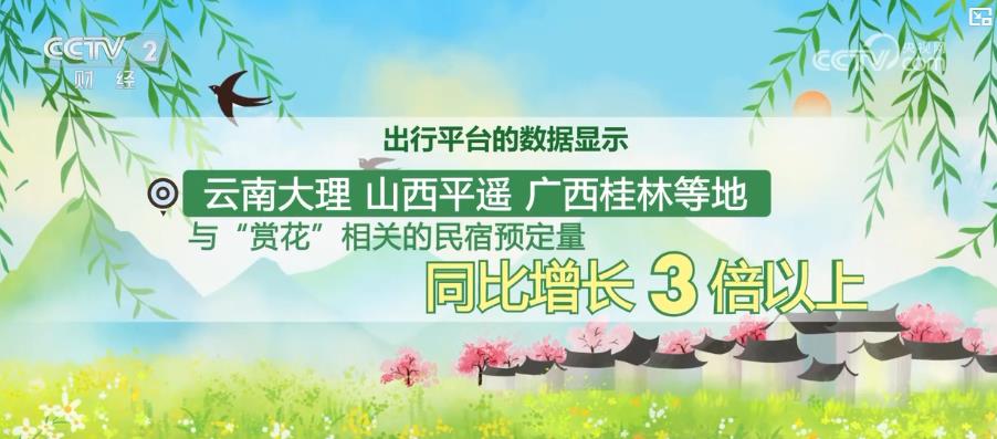 “赏花+”产业激活乡村活力成为新经济增长点(图3)
