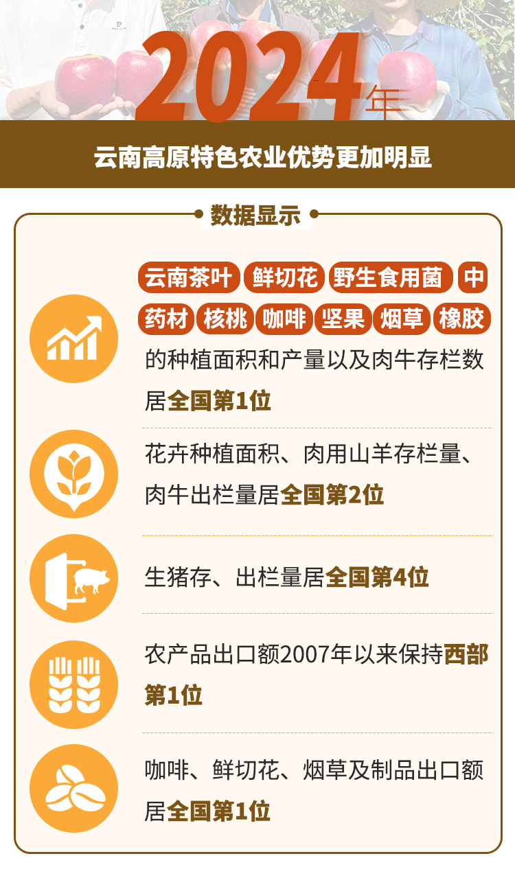【2024年云南经济观察⑩】“土特产”叫得响卖得好(图1)