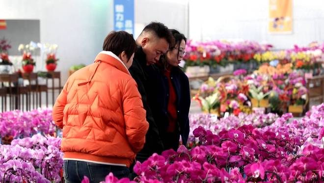 东营市首批花卉产业地方标准出台助力花卉产业升级(图2)