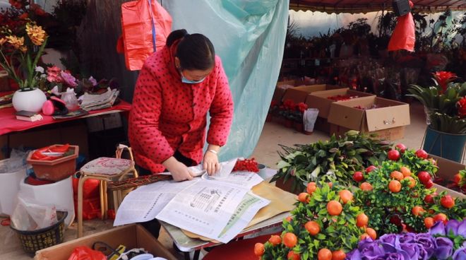 河南淮滨：年味渐浓花卉市场日渐火热(图1)