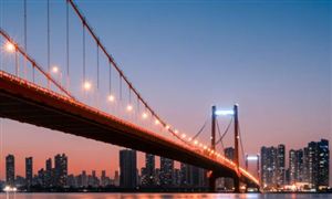 2022鲜花行业前景及现状分析报告(图8)
