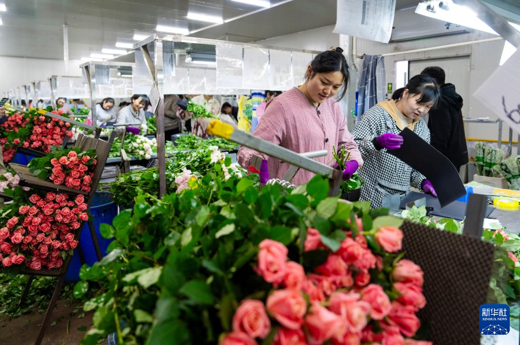云南姚安：鲜花产业促就业_新华网(图3)