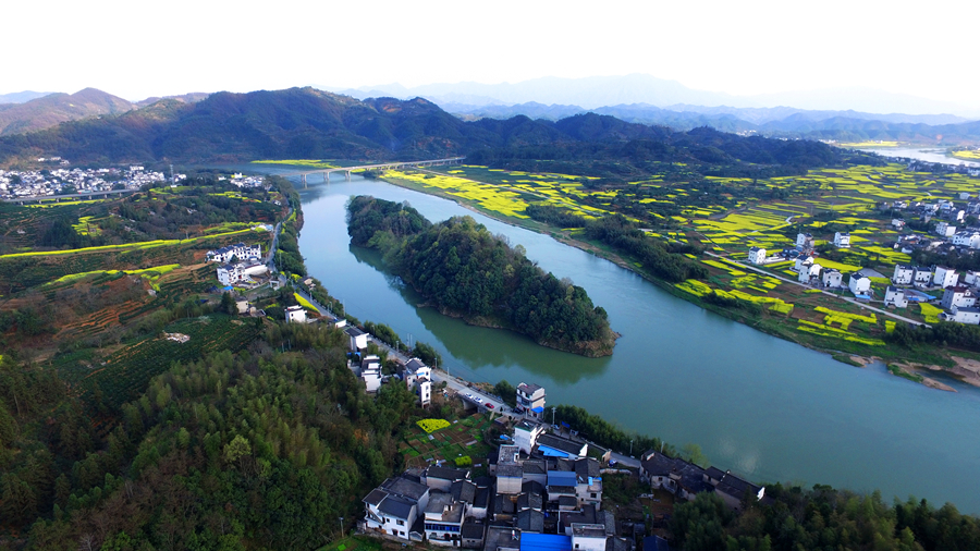 聚焦高质量发展丨安徽：推深做实林长制加快打造高质量绿美江淮(图6)