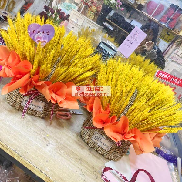重庆黔江区母亲节鲜花2024年黔江区母亲节鲜花款式！(图5)