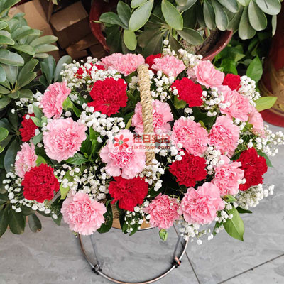 重庆黔江区母亲节鲜花2024年黔江区母亲节鲜花款式！(图9)