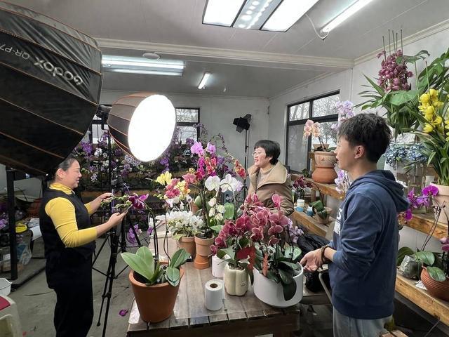 一天出货两万单年轻人网购“年宵花”成新潮｜新春走基层(图1)
