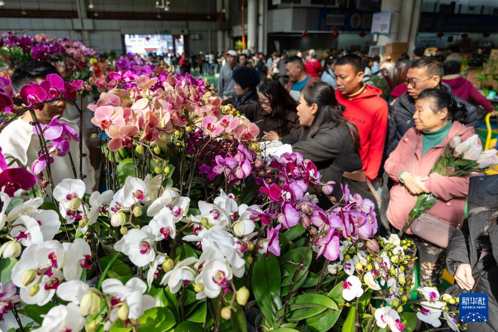 中国经济样本观察·“镇”了不起|从花田花市到花都鲜花“绽放”出双百亿“浪漫经济”_新华网(图2)