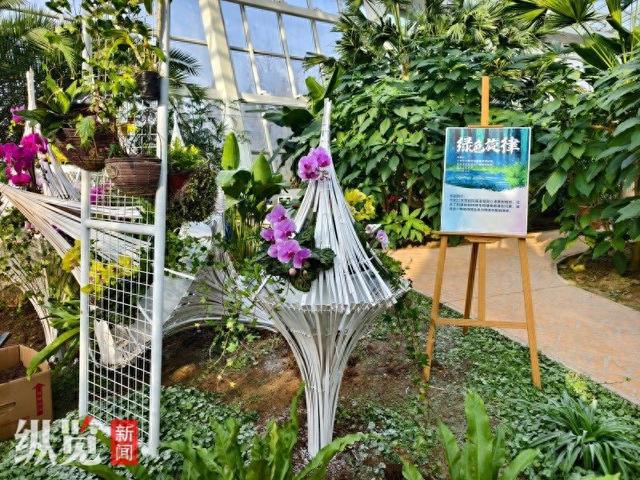石家庄市植物园新春花展于28日开幕4万余株绿植鲜花等你来(图1)