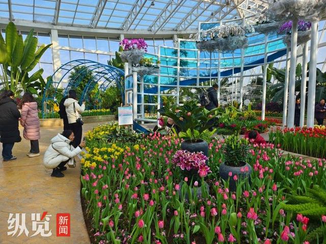 石家庄市植物园新春花展于28日开幕4万余株绿植鲜花等你来(图3)